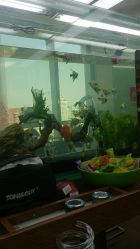 android_upload_pic-小左美发