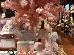 -凯德MALL(望京店)