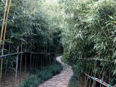 -竹子庵公园