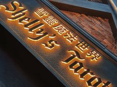 -雪灵魔法世界SHELLY’S TAROT(大良桂畔里店)