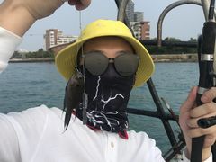 -小猫钓鱼海钓俱乐部(椰梦长廊店)