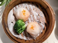 -食膳星港记·手工现做港式茶餐厅(吉联店)