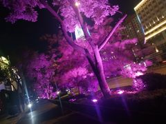 -文瀛公园