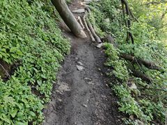 -西安祥峪森林公园