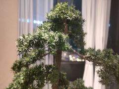 -马家斑.鲜鱼火锅(松湖万科店)