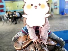 -芜湖新华联大白鲸海洋公园