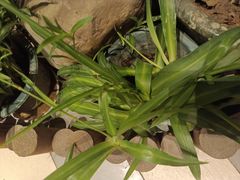 -湘当爱·鲜煮现炒(松岗立业路店)
