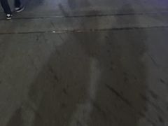 -御池园(顾村公园店)