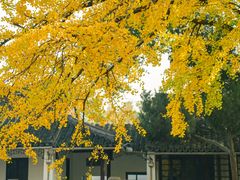 -西园戒幢律寺