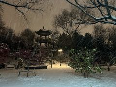-莲花池公园