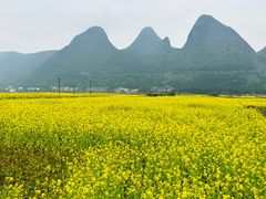 -万峰林风景区