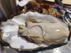-蚝堡海鲜·威海菜·海肠捞饭·烧烤·亚洲吃蚝公司(幸福门店)