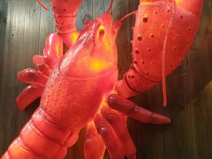 -虾小龙老长沙龙虾馆(坡子街店)