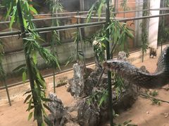 -荔城生鲜盛宴(番禺旗舰店)