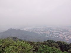 -紫金山山顶公园