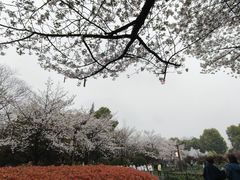 -堤角公园