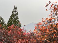-北宫国家森林公园