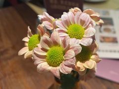 -Magnet磁食(愚园路店)