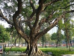 -广州中山纪念堂