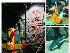 -泉城欧乐堡海洋极地世界