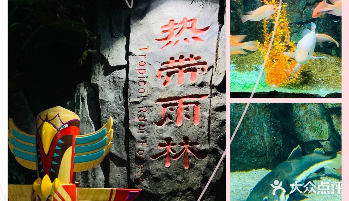 #济南周边游#在海边,是游而不是游泳