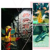 #济南周边游#在海边,是游而不是游泳