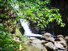 -大奇山国家森林公园