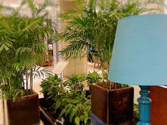 大堂-苏州洲际酒店·大堂酒廊