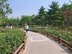 -西海子公园