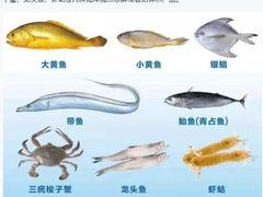 -徐汇区枫林菜市场