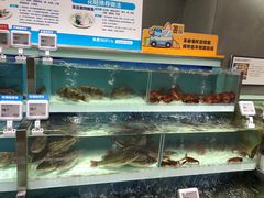 水产区-盒马鲜生(财富中心店)
