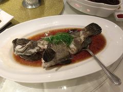 清蒸龙趸斑-文兴酒家(晶品店)
