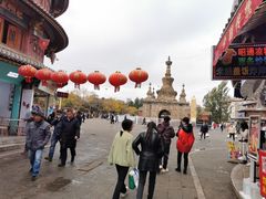 -眼镜粑粑