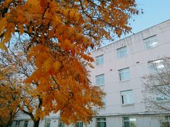 -东北大学(南湖校区)
