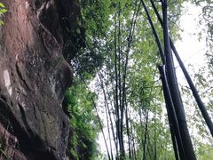 -川西竹海景区