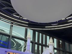 -小猫来了·猫咪专售(红山六九七九店)