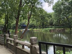 -WeLope紫金山探险公园