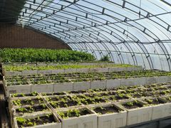 -甜心庄园·甜心草莓采摘园(西青中北店)