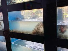 -全乐鱼馆·淳牌有机鱼直营店