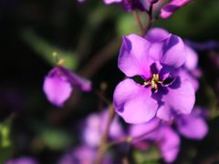-昆山城市生态森林公园