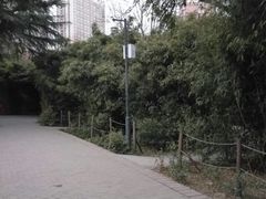 -西苑公园