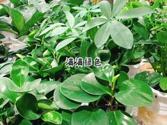 -鹿岛生活(熙地港店)