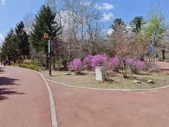 -长春市南湖公园