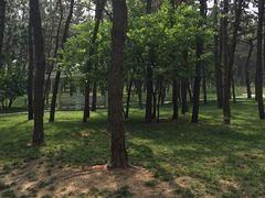 -林海公园