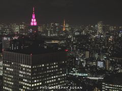 -东京都厅舍
