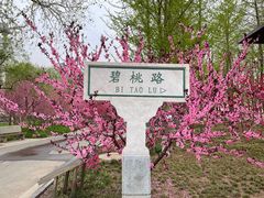 -石家庄市植物园