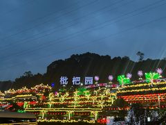 -枇杷园食为鲜火锅(南山店)