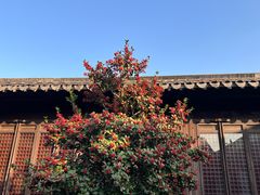 -荡口古镇-华蘅芳故居