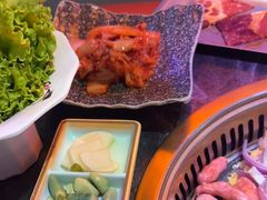 -杨记齐齐哈尔烤肉(五莲路店)
