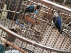 -九龙餐厅(大沽路店)